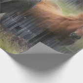 Schöne Pferde und rustikaler Stall Geschenkpapier (Ecke)