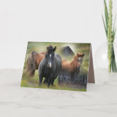 Schöne Pferde und rustikaler Stall Karte (Vorderseite)