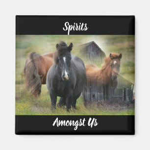 Schöne Pferde und rustikaler Stall Magnet