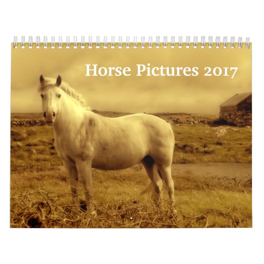 Schöne Pferdebild-Bilder 2017 Kalender (Titelbild)