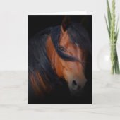 Schöne PferdeGeburtstagskarte Karte (Vorderseite)