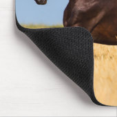 Schöne Pferdemuse Mousepad (Ecke)