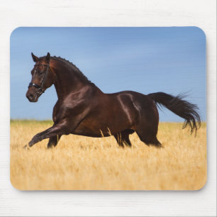 Schöne Pferdemuse Mousepad