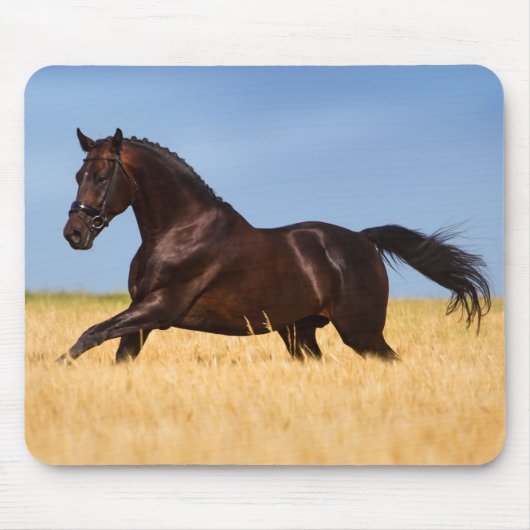 Schöne Pferdemuse Mousepad (Vorne)