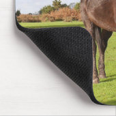 Schöne Pferdemuse Mousepad (Ecke)