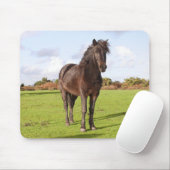 Schöne Pferdemuse Mousepad (Mit Mouse)