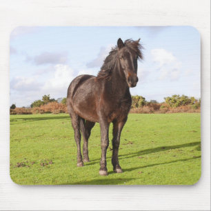 Schöne Pferdemuse Mousepad