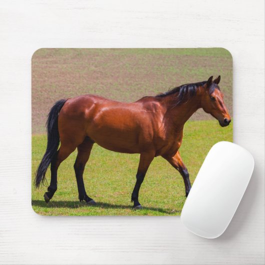 Schöne Pferdemuse Mousepad (Mit Mouse)