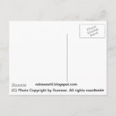 Schöne Pferdepostkarte Postkarte (Rückseite)