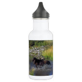 Schöne Pferderanch-Schicksals-Natur Trinkflasche (Links)