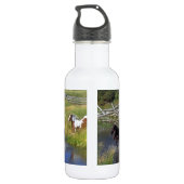 Schöne Pferderanch-Schicksals-Natur Trinkflasche (Rückseite)