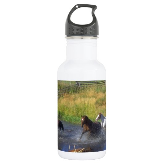 Schöne Pferderanch-Schicksals-Natur Trinkflasche (Vorderseite)