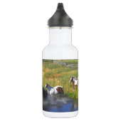 Schöne Pferderanch-Schicksals-Natur Trinkflasche (Rechts)