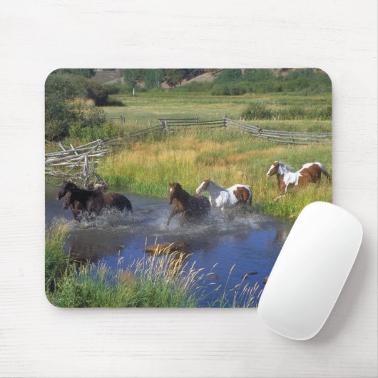 Schöne Pferderasse Destination Natur Mousepad (Mit Mouse)