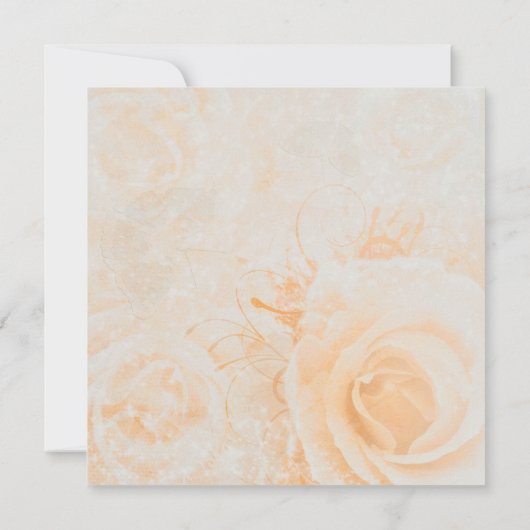Schöne pfirsichcreme Rose Hochzeit Einladung (Rückseite)