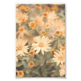 Schöne pfirsichfarbene Blume blüht floral Fotodruck