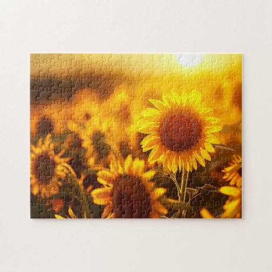 schöne Pflanze Blume Sonnenblume bei Sonnenunterga Puzzle (Horizontal)