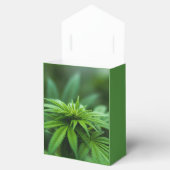 Schöne Pflanze Geschenkschachtel (Geöffnet)