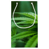 Schöne Pflanze Kleine Geschenktüte (Rückseite)