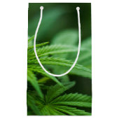 Schöne Pflanze Kleine Geschenktüte (Vorderseite)