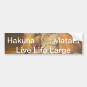 Schöne Phantastische Katze und Hund Cuddling Art P Autoaufkleber (Vorne)