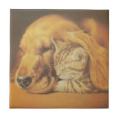 Schöne Phantastische Katze und Hund Cuddling Art P Fliese (Vorderseite)