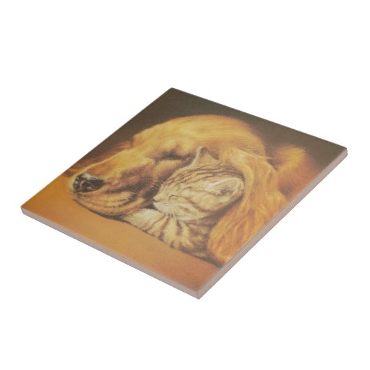 Schöne Phantastische Katze und Hund Cuddling Art P Fliese (Seite)