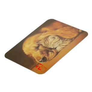 Schöne Phantastische Katze und Hund Cuddling Art P Magnet