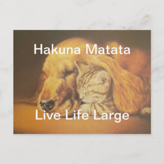 Schöne Phantastische Katze und Hund Cuddling Art P Postkarte