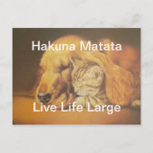 Schöne Phantastische Katze und Hund Cuddling Art P Postkarte (Vorderseite)