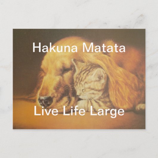 Schöne Phantastische Katze und Hund Cuddling Art P Postkarte (Vorderseite)