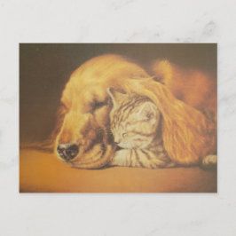 Schöne Phantastische Katze und Hund Cuddling Art P Postkarte