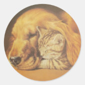 Schöne Phantastische Katze und Hund Cuddling Art P Runder Aufkleber (Vorderseite)
