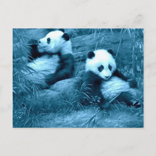 schöne phantastische Panda Postkarte (Vorderseite)