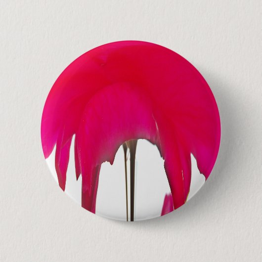 Schöne phantastische Rote Rose unter weißem Himmel Button (Vorderseite)