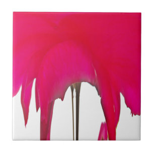 Schöne phantastische Rote Rose unter weißem Himmel Fliese