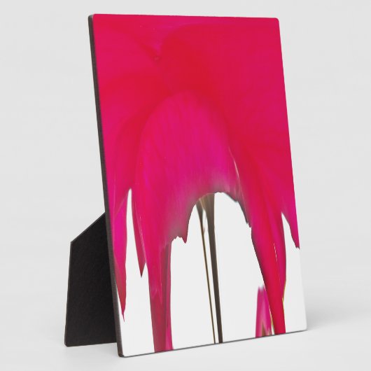 Schöne phantastische Rote Rose unter weißem Himmel Fotoplatte (Seite)