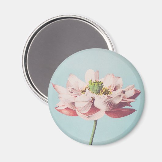 Schöne photomechanische Drucke von Lotus-Blume Magnet (Vorderseite/Rückseite)