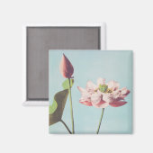 Schöne photomechanische Drucke von Lotus-Blume Magnet (Vorderseite/Rückseite)