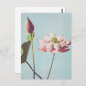 Schöne photomechanische Drucke von Lotus-Blume Postkarte (Vorne/Hinten)