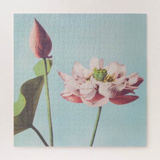 Schöne photomechanische Drucke von Lotus-Blume Puzzle (Vertikal)