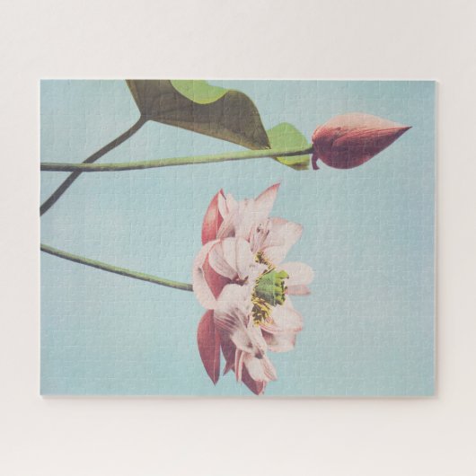 Schöne photomechanische Drucke von Lotus-Blume Puzzle (Horizontal)