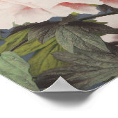 Schöne photomechanische Drucke von Peony-Blume (Ecke)