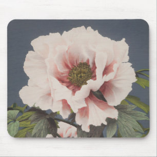 Schöne photomechanische Drucke von Peony-Blume Mousepad
