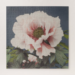 Schöne photomechanische Drucke von Peony-Blume Puzzle