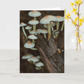 Schöne Pilzfotografie leere Karte (Gelbe Blume)