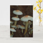 Schöne Pilzfotografie leere Karte (Gelbe Blume)