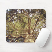 Schöne Pine Tree Mousepad (Mit Mouse)
