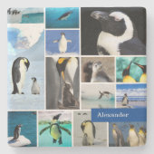 Schöne Pinguin FotoCollage mit Vorname Steinuntersetzer (Vorderseite)