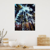 Schöne Pinienbäume im Herbst Poster (Küche)